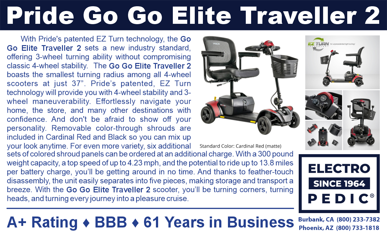 Power GoGo Scooter